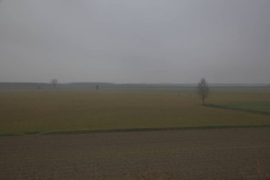 Sonbaharın sonlarında sisli bir günde İtalya kırsalında çıplak ağaçlarla dolu tarlalar.