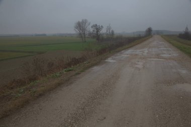 Sisli bir günde kırsal kesimde çakıl yolu