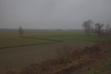 Sonbaharın sonlarında sisli bir günde İtalya kırsalında çıplak ağaçlarla dolu tarlalar.