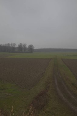 Sonbaharın sonlarında İtalya kırsalında sürülen tarlalarla çevrili bir yol.