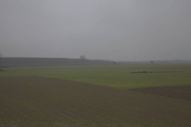 Sonbaharın sonlarında sisli bir günde kırsalda çıplak ağaçlarla kaplı tarlalar.