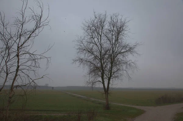 Schotterstraße Der Italienischen Landschaft Einem Nebligen Tag Spätherbst — Stockfoto