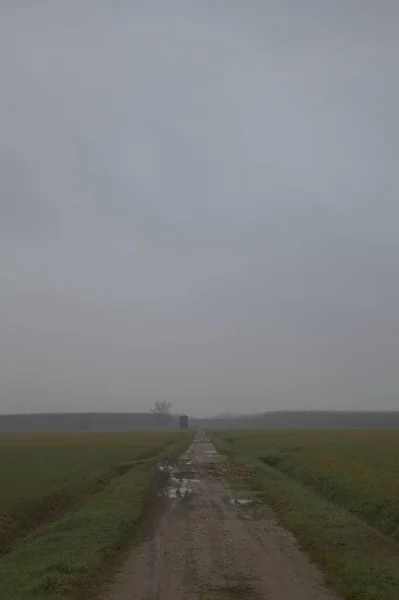 Schotterstraße Der Italienischen Landschaft Einem Nebligen Tag Spätherbst — Stockfoto