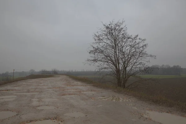 Sisli Bir Sonbaharda Talya Nın Kırsalında Çamurlu Yollarda — Stok fotoğraf