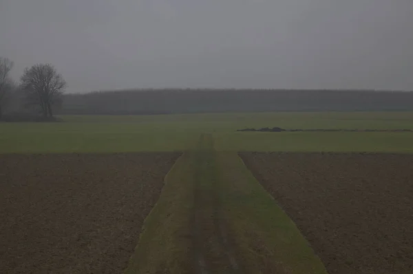 Weg Gesäumt Von Gepflügten Feldern Der Italienischen Landschaft Spätherbst — Stockfoto