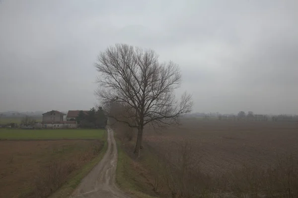 秋末的一个大雾天 意大利乡间泥泞的碎石路 — 图库照片