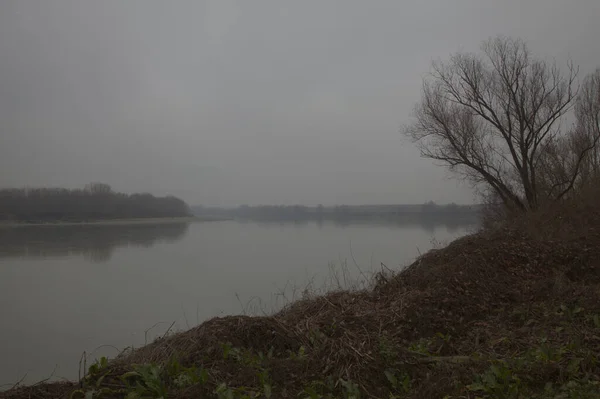 Fiume Una Giornata Nebbiosa Con Riflessi Dell Altra Riva Sull — Foto Stock