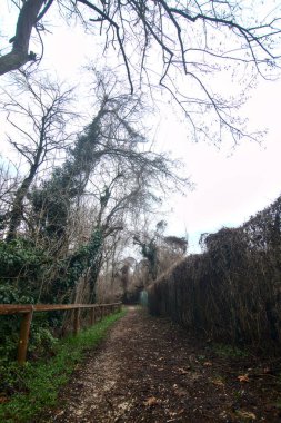 İtalya 'nın sonbaharında bulutlu bir günde parkta çamurlu bir patika.