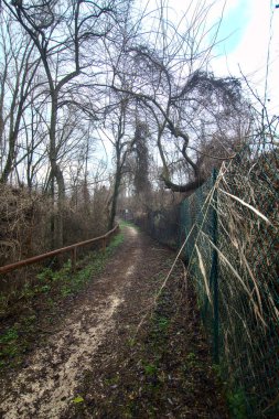 İtalya 'nın sonbaharında bulutlu bir günde parkta çamurlu bir patika.