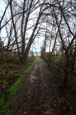 İtalya 'nın sonbaharında bulutlu bir günde parkta çamurlu bir patika.