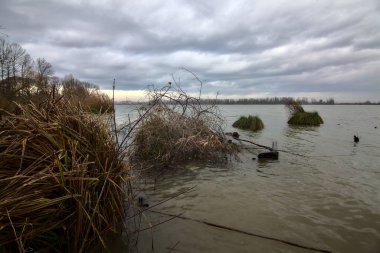 Kışın İtalya kırsalında bulutlu bir günde bir nehrin kıyısında
