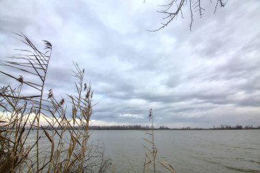 Kışın İtalya kırsalında bulutlu bir günde bir nehrin kıyısında