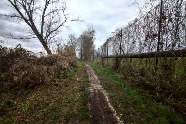 Kışın İtalya kırsalında bulutlu bir günde bir nehrin kıyısında