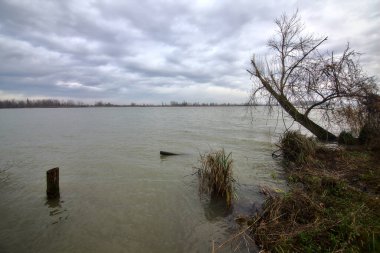 Kışın İtalya kırsalında bulutlu bir günde bir nehrin kıyısında