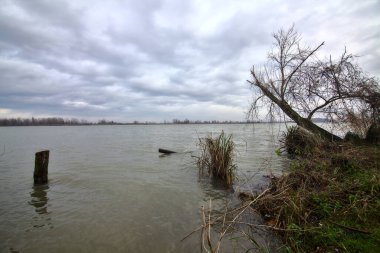 Kışın İtalya kırsalında bulutlu bir günde bir nehrin kıyısında