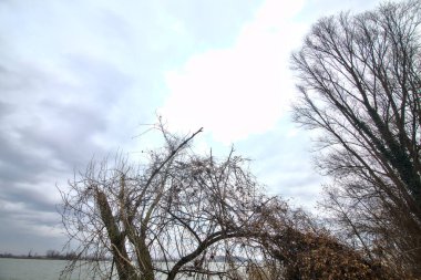 Kışın İtalya kırsalında bulutlu bir günde bir nehrin kıyısında