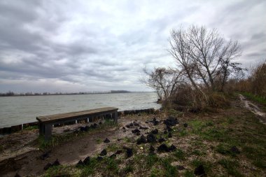 Kışın İtalya kırsalında bulutlu bir günde bir nehrin kıyısında