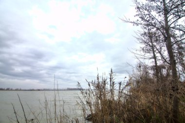 Kışın İtalya kırsalında bulutlu bir günde bir nehrin kıyısında