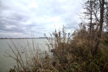 Kışın İtalya kırsalında bulutlu bir günde bir nehrin kıyısında