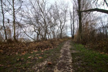 İtalya kırsalında kışın nehir kıyısında yol