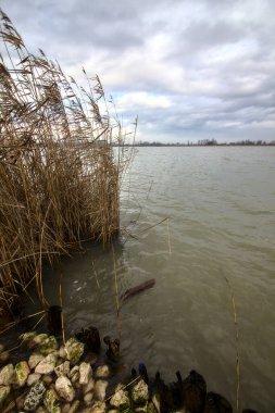 İtalya kırsalında kışın çıplak ağaçlarla dolu bir nehrin kıyısında