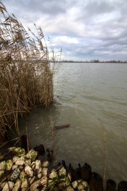 İtalya kırsalında kışın çıplak ağaçlarla dolu bir nehrin kıyısında