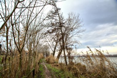 İtalya kırsalında kışın çıplak ağaçlarla dolu bir nehrin kıyısında