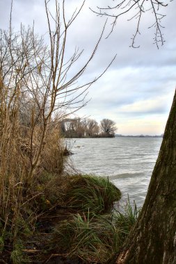 İtalya kırsalında kışın çıplak ağaçlarla dolu bir nehrin kıyısında