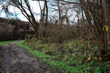 İtalya kırsalındaki bir parkta kışın yol