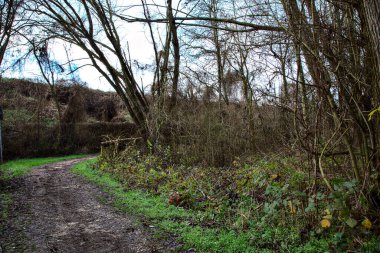 İtalya kırsalındaki bir parkta kışın yol