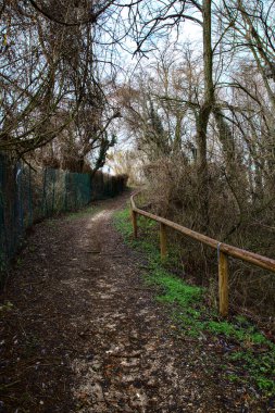 İtalya kırsalındaki bir parkta kışın yol