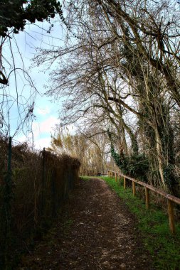 İtalya kırsalındaki bir parkta kışın yol