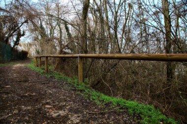 İtalya kırsalındaki bir parkta kışın yol