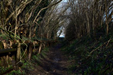 İtalya kırsalındaki bir parkta kışın yol