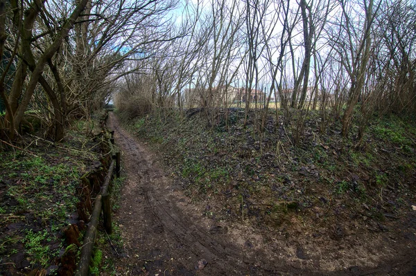 Muddy Camino Parque Día Nublado Campo Italiano Finales Otoño — Foto de Stock