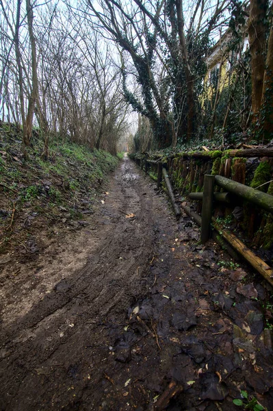 Muddy Camino Parque Día Nublado Campo Italiano Finales Otoño — Foto de Stock