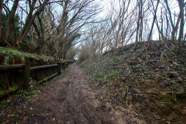 Muddy Camino Parque Día Nublado Campo Italiano Finales Otoño — Foto de Stock