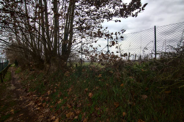 Talya Nın Sonbaharında Bulutlu Bir Günde Parkta Çamurlu Bir Patika — Stok fotoğraf