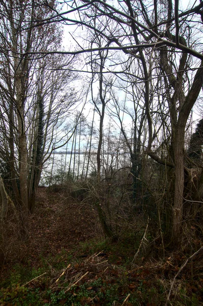 Sentier Boueux Dans Parc Par Une Journée Nuageuse Dans Campagne — Photo