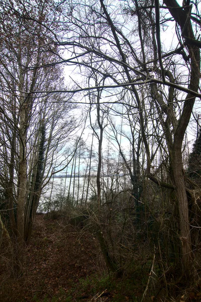 Sentier Boueux Dans Parc Par Une Journée Nuageuse Dans Campagne — Photo