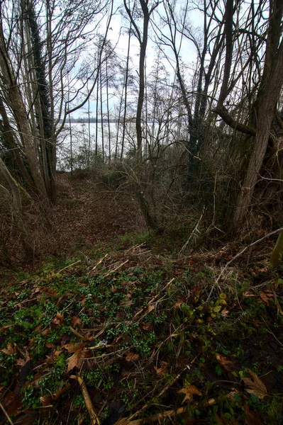 Sentier Boueux Dans Parc Par Une Journée Nuageuse Dans Campagne — Photo