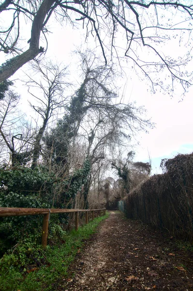 Modderig Pad Een Park Een Bewolkte Dag Het Italiaanse Platteland — Stockfoto