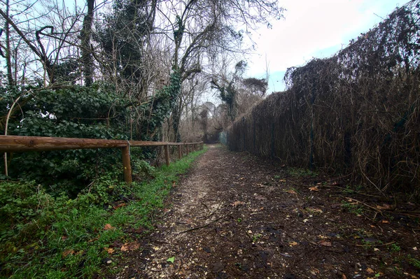 Modderig Pad Een Park Een Bewolkte Dag Het Italiaanse Platteland — Stockfoto