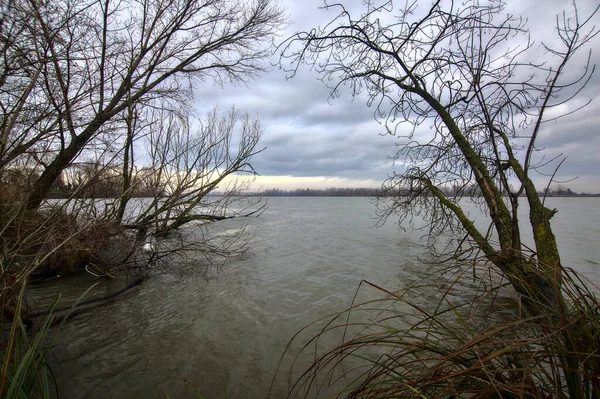 Orilla Río Día Nublado Campo Italiano Invierno —  Fotos de Stock