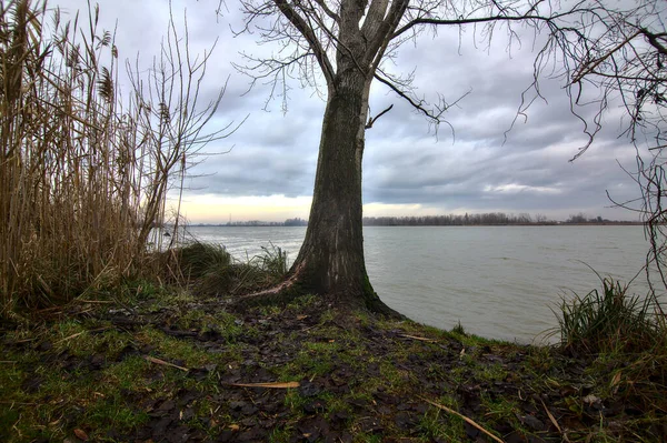 Ufer Eines Flusses Einem Bewölkten Tag Der Italienischen Landschaft Winter — Stockfoto