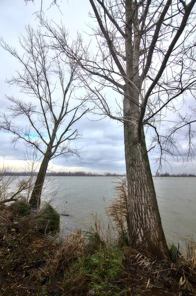 Rivage Une Rivière Par Une Journée Nuageuse Dans Campagne Italienne — Photo