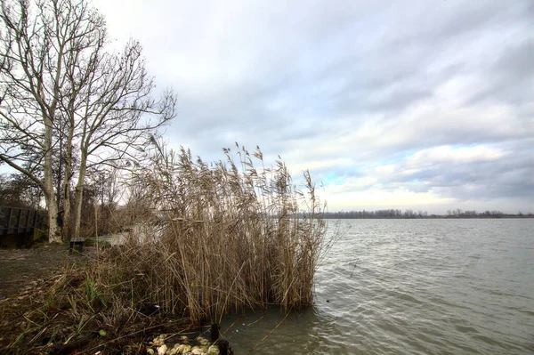 Landa Flod Med Bara Träd Den Italienska Landsbygden Vintern — Stockfoto