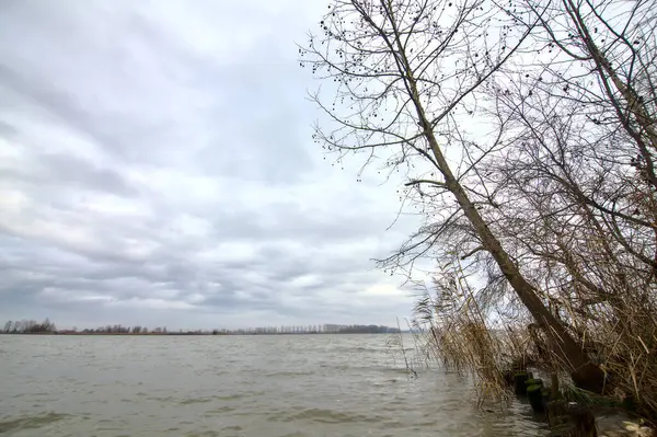 在意大利乡村的河边 冬天是光秃秃的树木 — 图库照片