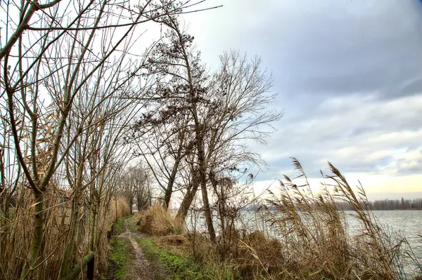 Ufer Eines Flusses Mit Kahlen Bäumen Der Italienischen Landschaft Winter — Stockfoto
