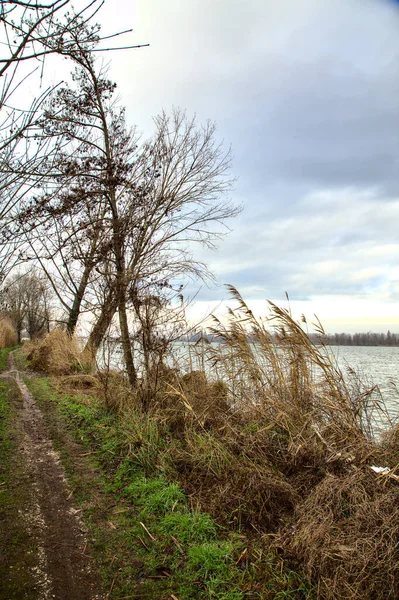 在意大利乡村的河边 冬天是光秃秃的树木 — 图库照片